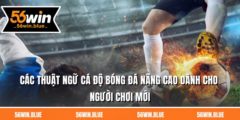 Các thuật ngữ cá độ bóng đá nâng cao dành cho người chơi mới